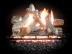 Dreffco 30" Premium Gas Logs - for Vented Fireplaces, Natural Gas or Liquid Propane - Great Oak Design (Logs Only)